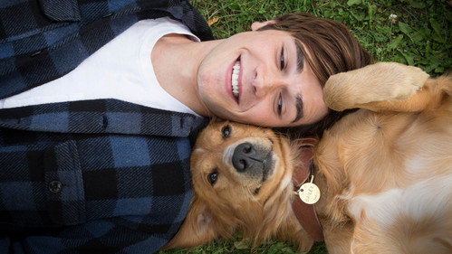 A Dog