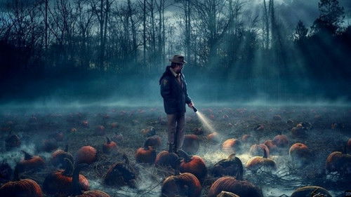Stranger Things 2016 Season 1 Complete Episodes in Hindi Dual Audio With ESubstitle