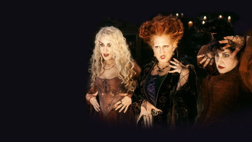 Hocus Pocus 1993 Hindi Dual Audio 480p BluRay 320MB