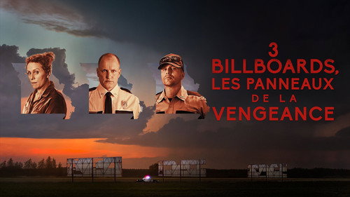 Three Billboards Outside Ebbing Missouri 2017 Dual Audio Hindi 480p BluRay 350MB