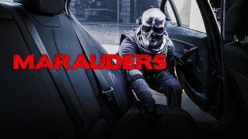 Marauders (2016) Hindi Dual Audio 480p BluRay 360MB