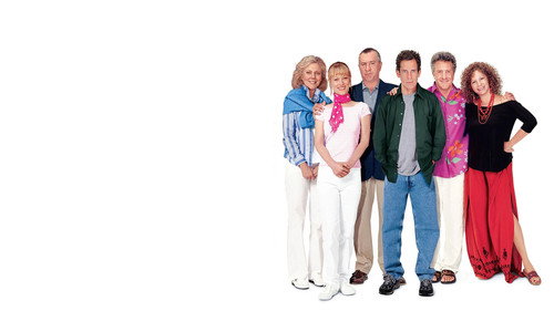 Meet the Fockers 2004 Hindi Dual Audio 480p BluRay 350MB