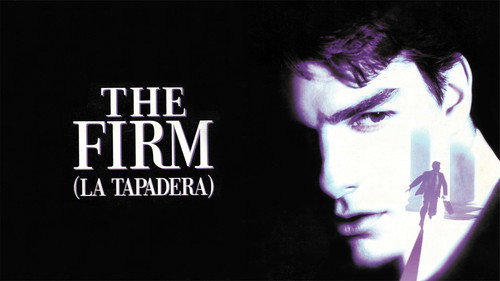 The Firm (1993) Hindi Dual Audio 480p BluRay 450MB