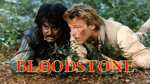 Bloodstone (1988) 100mb Hindi Dual Audio Hevc BRRip Download
