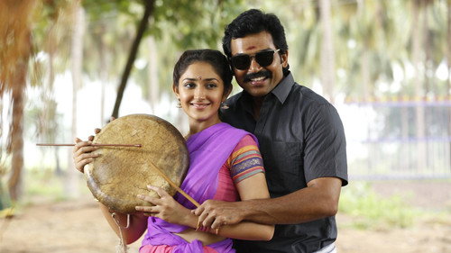Kadaikutty Singam (2018) (Hindi - Tamil) Dual Audio 480p UnCut HDRip 450MB