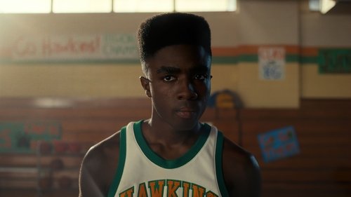 Stranger Things 2016 Season 1 Complete Episodes in Hindi Dual Audio With ESubstitle